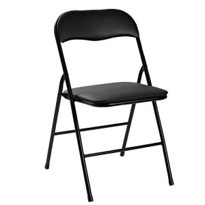 VECELO܂肽݃`FApCv֎q܂ݔwyʎ^ъicAEghACxgʍ44cmω׏d100kgPUU[ubN