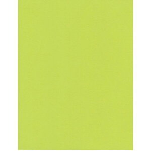 GXPgPgX^[J[A4AbvO[1005745007