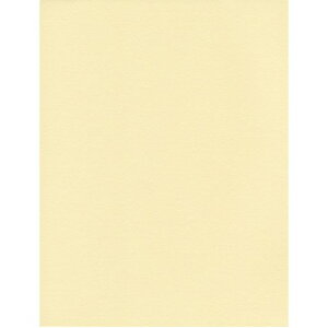 GXPgPgX^[J[A4oj1005769007