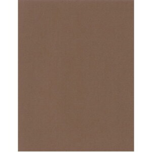 GXPgPgX^[J[A4`RuE1005766007