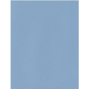 GXPgPgX^[J[A4LCiu[1005733007