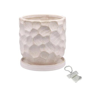 J-kitchensSelectԕrAؔ艟fUC|bgzCg14xH14cmIWi^Ot