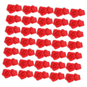 SEWACCH|pCXg[{̃o100hJo葢ԃozDIYANZT[|GXeԃöߗޕtiiCpNX}X̓fR[V