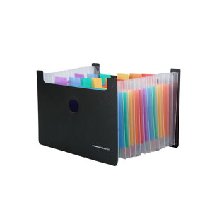 ghLgt@CA613|Pbgޗ̎/`[[̎̎t@C{bNXގ[P[Xސ^ѕ֗PPhpi(Black/Rainbow)