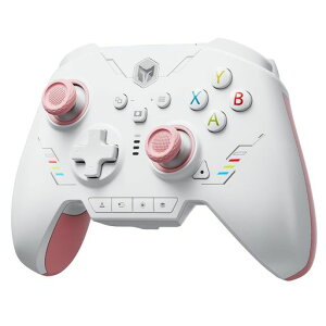 �R���g���[���[ for Nintendo Switch 2 BIGBIG WON Rainbow 2 SE ���[ ���[�V���� �R���g���[�� �z�[�����ʃg���K�[ 12 �r�b�g ADC �A�ˋ@�\ 8�����\���L �W���C�X�e�B�b�N 3 �Z�b�g PC APP