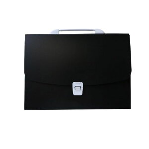 |[^uIKobOtHގ[t@C{bNXgtH_A412ޑeʃ}`J[WtxtubNItBXƒ뗷s()(ubN)