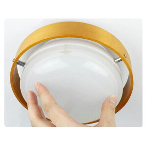 DepuleyledV[OCgؖڒaƖ֘a^6i`ؘg̓v[gLyʒF10W哔䏊~jRpNgʏǃXCb`RȂ800lmLpxa17cm