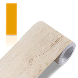 }XLOe[vCNV[gؖڕǎChAhAϖAϔMAS͑gpCNV[gǎY₷L10cmx10m(JGf)