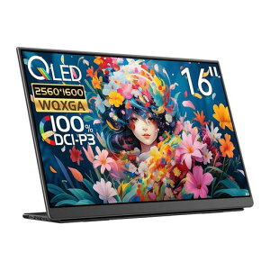 EHOMEWEI ���o�C�����j�^�[ 144hz 2.5K 16�C���` WQXGA 2560*1600 QLED �ʎq�h�b�g �|�[�^�u�����j�^�[ �����yWindows/MacOS�z�Ή� 100% DCI-P3 �Q�[�~���O Type-C �ی�t�B����