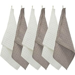 KYOSAMAӂGЃLb`^ILb`NX}CNt@Co[Lb`pizБ@@KX@ӂ(R[q[3zCg3)29*29cmbt