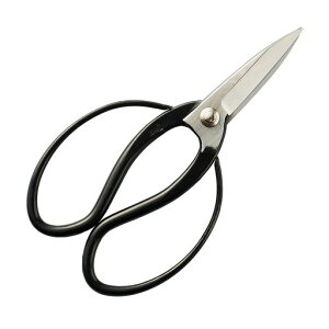 ̑(AgurinoKura)gvnY{VO𐻒bEl̎葢A؁E؁EԁE~͂