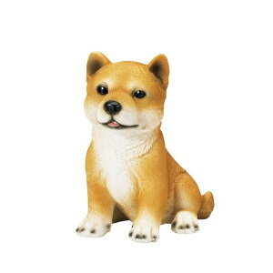 GC`c[I[hbOnEXMtgČH9684