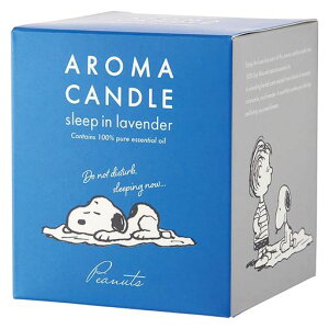 PEANUTSXk[s[fUC̓VRA}Lh₩ȃx_[̍100g(\CbNX낤SNOOPYXk[s[)