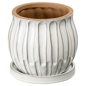 wbYt[|bga17(11.5)x15cmM:a15.5x2cmS41zCgnhChHEADSHNP-FPO32