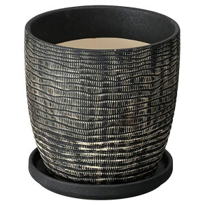 wbYt[|bga15.5(11)x15cmM:a14.5x2cmS41ubNnhChHEADSHNP-FPO40