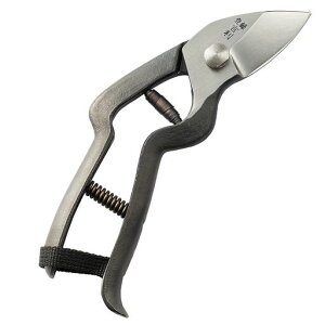 gÌy^ސY{VO𐻍vdlbEl̎葢vdl񂲉ʎ̙