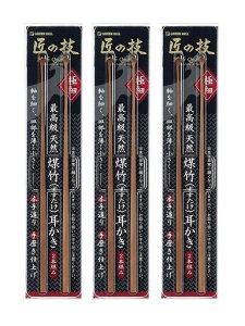 O[x̋ZōVR|()2{gG-21533Zbg