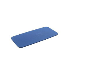 AIREX(�G�A���b�N�X)�g���[�j���O�}�b�g�t�B�b�g�l�X120����15mm�u���[FITNESSBLBLUE120FITNESSBL120