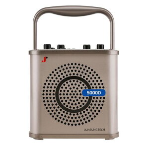 GIGAPHONE5000D100W�|�[�^�u�����C�����X��e�ʃA���v�ƃ}�C�N�t��