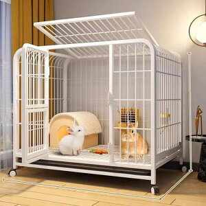 PuhangybgP[WP[WybgP[W傫LX^[ogCtP[WVC[P[WnX^[ETMbgQ[WgCETMc