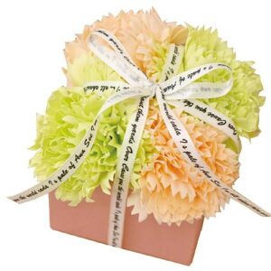 |s[É\[vt[V{t[ԃMtgv[gt[BOXJ[l[V{bNX9cmtS-111O[