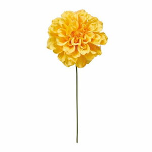 ����������MAGIQ�v���C���_���A�s�b�N�C�G���[�Ԍa9xL21cmFM000414-004