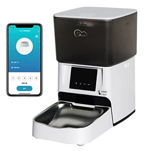 y2024zDOELLaybg^4L^莞ʋa􂢉\XeX{EAvΉg₷2WAYd^ybgphCt[ha튣ܕt{̎t