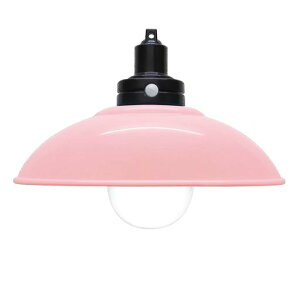 LEDy_g^ZT[CgdrsNpÃZT[tP4dr3{gp