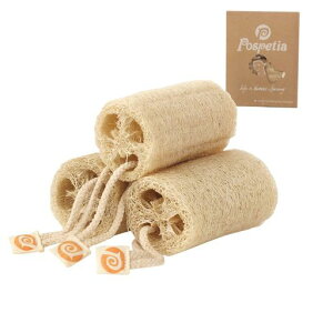 PospetiaVRw`}ւ܂킵oXX|WoXX|WGNXtHGCeBOoXX|Wx[W