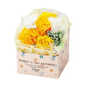 \[vt[̓MtgH(Matsuno)~ju[PnslX{bNXW11.5xD11xH17cm1GKGM4787-zzz