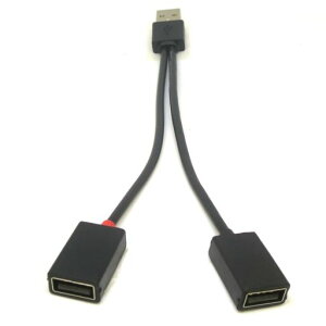 ϊlJAPAN(HenkanmeijinJapan)[q:USBA(IX)-USBA(X)x2([dp+ʐMΉ)P[u:10cm