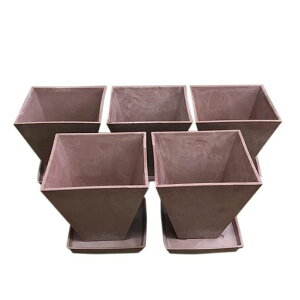 YPC{v^[AؔvX`bNLOi̓hV̓ƍHctۈ牀wZރLoX|bg5sN