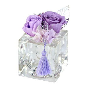 (Tokyodo)vU[uht[AWgԋԐ[]p[v6.5xH9.5cm1ZY000405-017