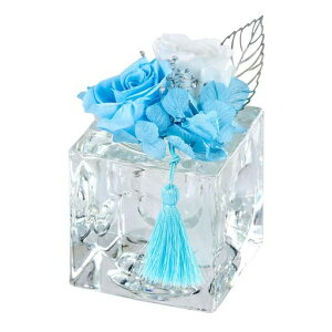 (Tokyodo)vU[uht[AWgԋԐ[]u[6.5xH9.5cm1ZY000405-005