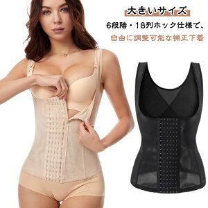 ␳ {fBVFCp[ fB[X _CGbg YK[h ␳xXg {fBX[c Ci[ EGXgVFCp[ EGXgjbp[ wؕ␳  VFCvAbv w؃T|