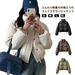 V[g _E ȃWPbg H~ V[g g h ȃR[g t[h  h Xg[g JWA fB[X tFCN_E  y l  