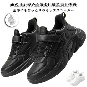 Xj[J[ h j̎q ̎q LbY q I[V[Y t  H ~ jp   JWA X|[c ^C jO h K ʋC Vv n wC ʉC 킢 g