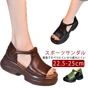 RtH[gT_ T_ q[5Z`   T_ I[vgD y ~ X|T L ̌ fB[X ɂȂ ₷ Ȃ JWAV[Y 