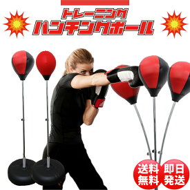 楽天市場 パンチングボールの通販