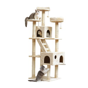 Lbg^[ 173cm u  킢 ybg L lR ^s ^ ^  ܌ ܂Ƃ R nEX qL VjA O[ x[W AC{[   u