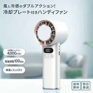 LAZOSi\XjnfBt@ b pv[g 2025Nfuԗp N[[@\ @ ^ 100iK ԉғ 莝  ΍ Xgbvt p[zCg