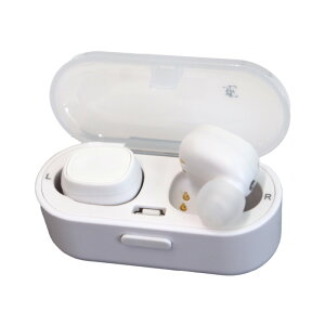 ワイヤレスイヤホン ケーブルレス 充電ケース付属 ハンズフリー通話 エントリーモデル 入門用 ベーシック Bluetooth 送料無料 iPhone Android