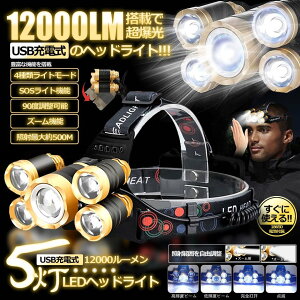�y���������z �y2��Z�b�g�z USB�[�d�� 12000LED�w�b�h���C�g 4�̃��[�h �Ɩ� �Y�[���@�\ 90�x���� 500M IPX4�h�� 2-12LMHDL