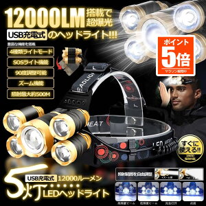 �y�������ő�20��OFF�N�[�|���z �y���������z USB�[�d�� 12000LED�w�b�h���C�g 4�̃��[�h �Ɩ� �Y�[���@�\ 90�x���� 500M IPX4�h�� �ϋv�� ���� ��� �d�r�t�� 12LMHDL