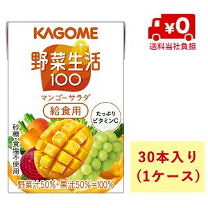 yIzJS ؐ100}S[T_ Hp100ml×30{y1P[Xzyr^~zy؁zyHpzy퉷z