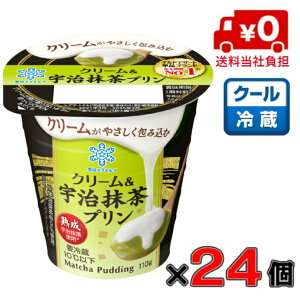 󃁃O~N@N[Fv 110g×24yvzyzyN[z