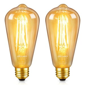 DiCUNO LED�d�� E26���� 60W�`���� �d���F �G�W�\���d�� 6W 600lm 2700K �t�B�������g�d�� �S���� ���F ���g�� ST64 �������Ή� 2��
