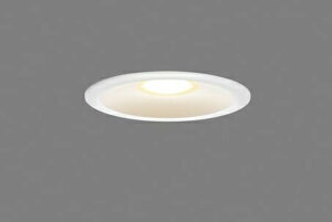 ���� �Z��p�Ɩ���� �������A�E�g�h�A�_�E�����C�g LED��̌` ��������125mm ���M�����100W�N���X �d���F(2700K) ��(�z���C�g) LEDD87054L(W)-LS