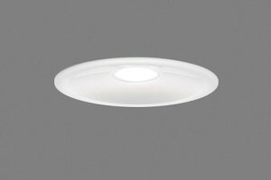 ���� �Z��p�Ɩ���� �������A�E�g�h�A�_�E�����C�g LED��̌` ��������150mm ���M�����100W�N���X �����F(5000K) ��(�z���C�g) LEDD87055N(W)-LS