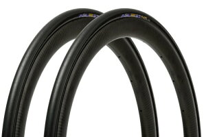 ���ʔ�2�{�Z�b�g �p�i���[�T�[(Panaracer) �A�W���X�g DURO 700×25C �N�����`���[ �� F725-AGD-B-2P